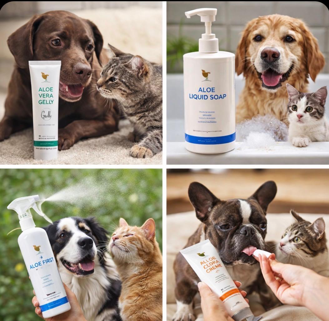 BIEN-ETRE CHIENS & CHATS