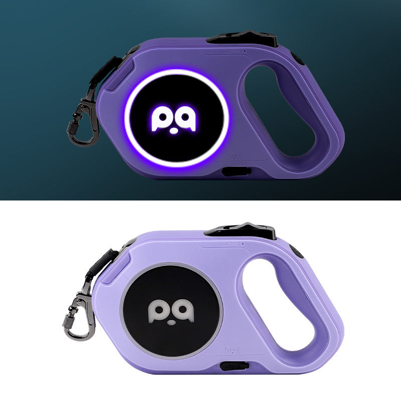 Laisse led légere pour chien