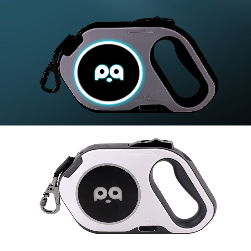 Laisse led légere pour chien