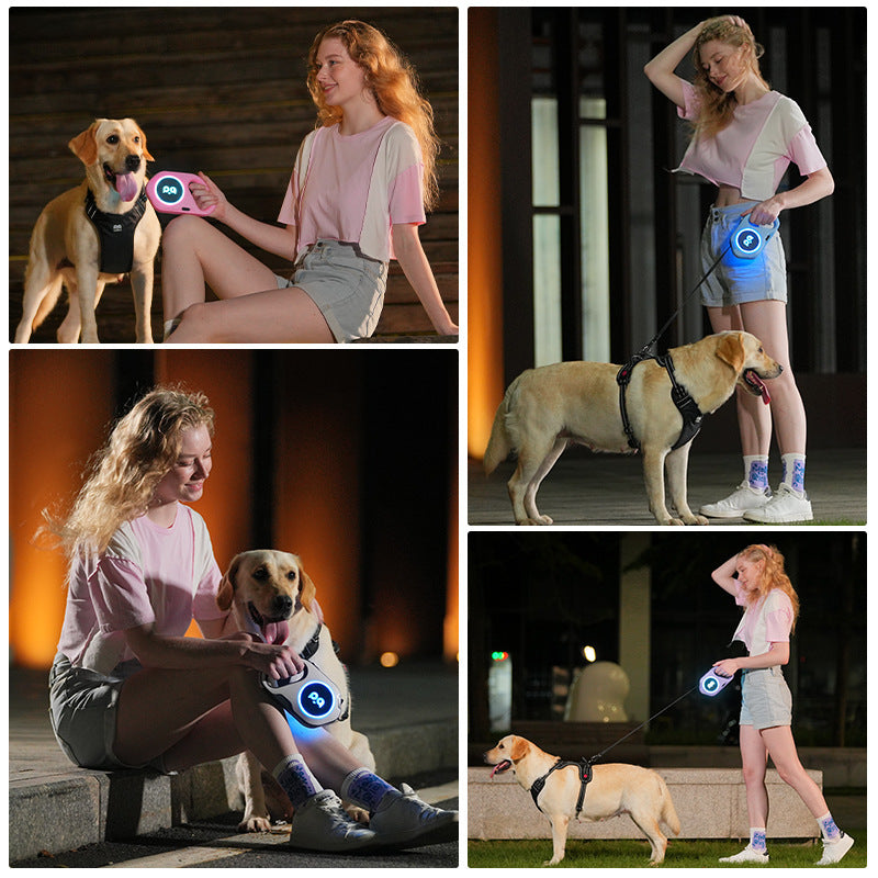 Laisse led légere pour chien