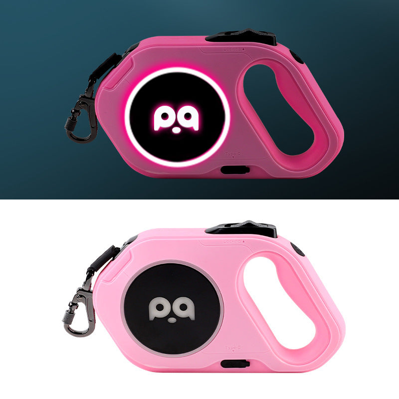 Laisse led légere pour chien