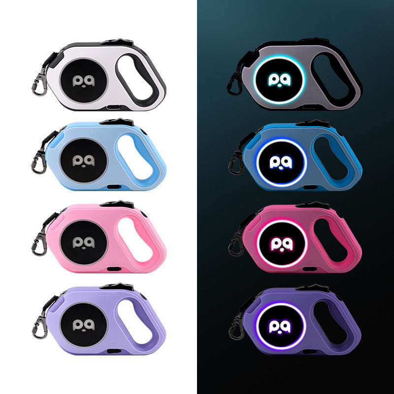 Laisse led légere pour chien