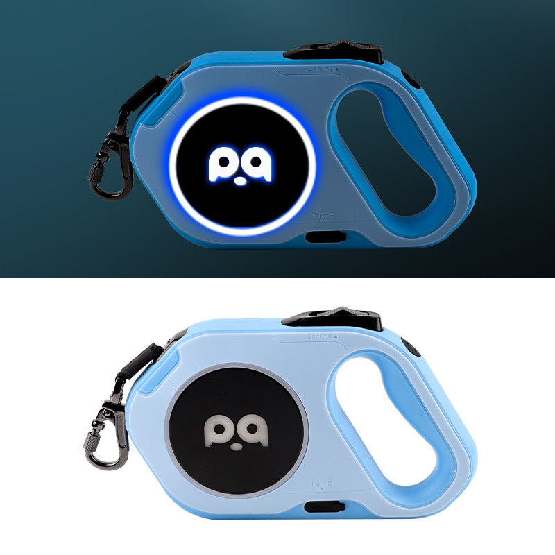 Laisse led légere pour chien