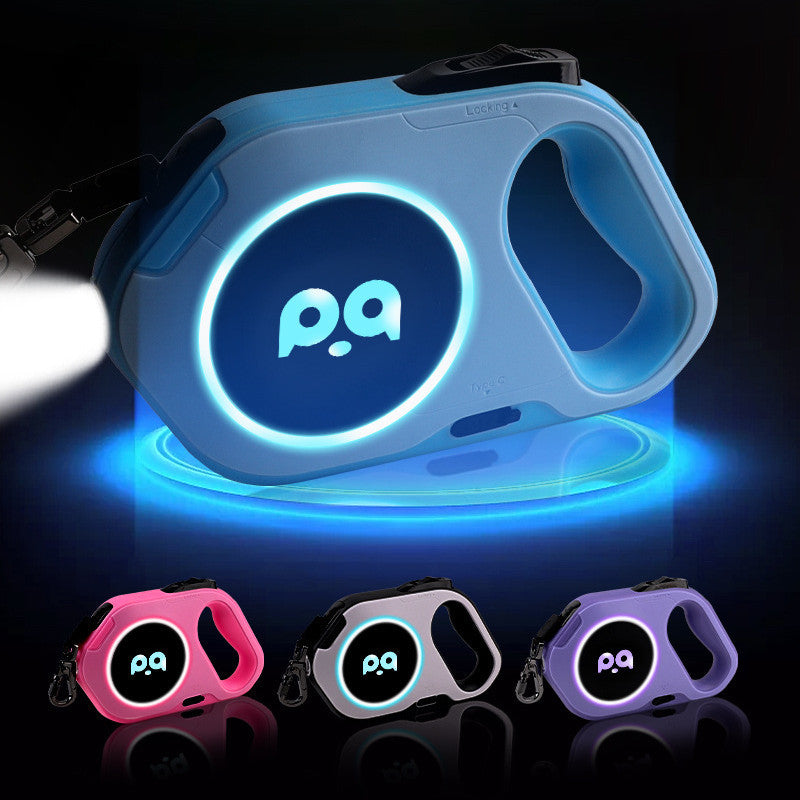 Laisse led légere pour chien